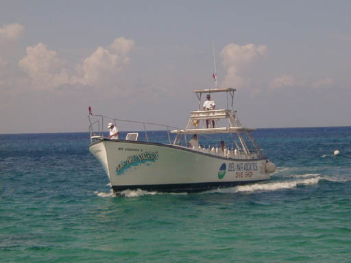 PA260075
