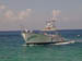 PA260075